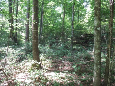 Great building lot in a golf course neighborhood with community on The Rock At Jocassee in South Carolina - for sale on GolfHomes.com, golf home, golf lot