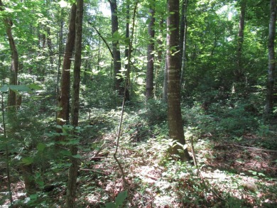 Great building lot in a golf course neighborhood with community on The Rock At Jocassee in South Carolina - for sale on GolfHomes.com, golf home, golf lot