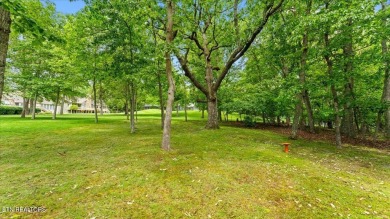 Experience the best of both worlds--mountain vistas and golf on Druid Hills Golf Club in Tennessee - for sale on GolfHomes.com, golf home, golf lot