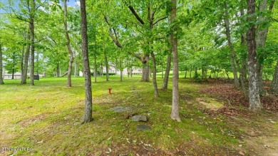 Experience the best of both worlds--mountain vistas and golf on Druid Hills Golf Club in Tennessee - for sale on GolfHomes.com, golf home, golf lot