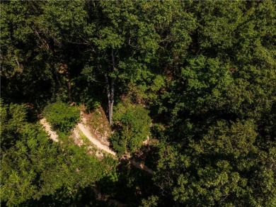 1.12 acres in the middle of everything Bella Vista has to offer on Bella Vista Country Club - Berksdale in Arkansas - for sale on GolfHomes.com, golf home, golf lot