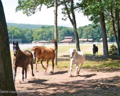 Looking for an opportunity to build your dream home in a private on Eagle Rock Golf and Ski Resort in Pennsylvania - for sale on GolfHomes.com, golf home, golf lot