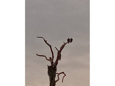 Discover Carefree Living in the highly esteemed Four Lakes Golf on Four Lakes Golf Club in Florida - for sale on GolfHomes.com, golf home, golf lot