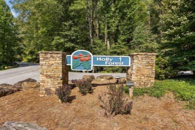 SELLER IS OFFERING $10,000  TO USE TOWARDS RATE BUY DOWN OR on Sapphire National Golf Club in North Carolina - for sale on GolfHomes.com, golf home, golf lot