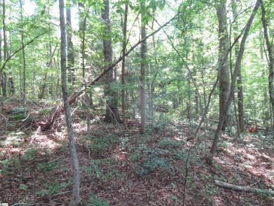 Superior building lot in the Rock at Jocassee Golf course.  This on The Rock At Jocassee in South Carolina - for sale on GolfHomes.com, golf home, golf lot