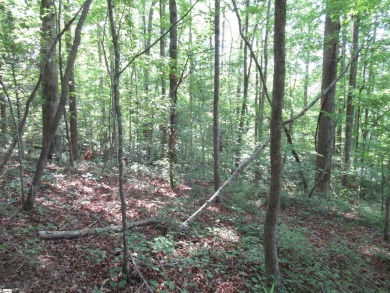 Superior building lot in the Rock at Jocassee Golf course.  This on The Rock At Jocassee in South Carolina - for sale on GolfHomes.com, golf home, golf lot