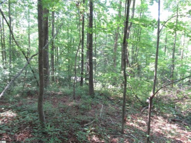 Superior building lot in the Rock at Jocassee Golf course.  This on The Rock At Jocassee in South Carolina - for sale on GolfHomes.com, golf home, golf lot