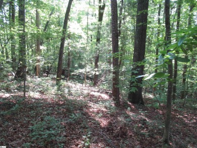 Superior building lot in the Rock at Jocassee Golf course.  This on The Rock At Jocassee in South Carolina - for sale on GolfHomes.com, golf home, golf lot