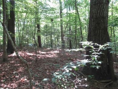 Superior building lot in the Rock at Jocassee Golf course.  This on The Rock At Jocassee in South Carolina - for sale on GolfHomes.com, golf home, golf lot
