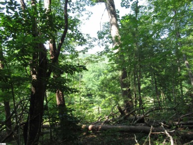 Superior building lot in the Rock at Jocassee Golf course.  This on The Rock At Jocassee in South Carolina - for sale on GolfHomes.com, golf home, golf lot