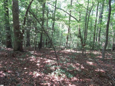 Superior building lot in the Rock at Jocassee Golf course.  This on The Rock At Jocassee in South Carolina - for sale on GolfHomes.com, golf home, golf lot
