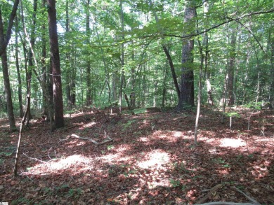 Superior building lot in the Rock at Jocassee Golf course.  This on The Rock At Jocassee in South Carolina - for sale on GolfHomes.com, golf home, golf lot