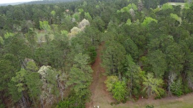 0.74 acre lot located in the prestigious neighborhood of Mount 
 on Mount Vintage Plantation and Golf Club  in South Carolina - for sale on GolfHomes.com, golf home, golf lot