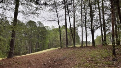 0.74 acre lot located in the prestigious neighborhood of Mount 
 on Mount Vintage Plantation and Golf Club  in South Carolina - for sale on GolfHomes.com, golf home, golf lot
