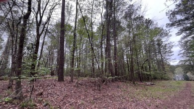 0.74 acre lot located in the prestigious neighborhood of Mount 
 on Mount Vintage Plantation and Golf Club  in South Carolina - for sale on GolfHomes.com, golf home, golf lot