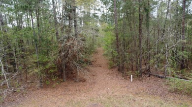 0.66 acre lot located in the prestigious neighborhood of Mount on Mount Vintage Plantation and Golf Club  in South Carolina - for sale on GolfHomes.com, golf home, golf lot