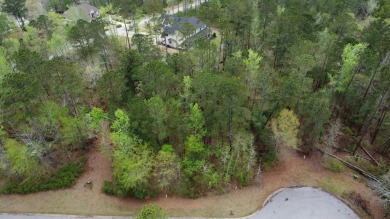 0.66 acre lot located in the prestigious neighborhood of Mount on Mount Vintage Plantation and Golf Club  in South Carolina - for sale on GolfHomes.com, golf home, golf lot