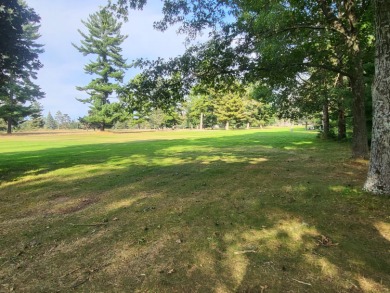 Calling golfers! Come take a look at this beautiful 3 bedroom/2 on White Deer Country Club in Michigan - for sale on GolfHomes.com, golf home, golf lot