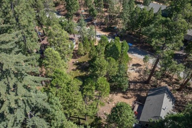 Nestled amidst the serene pines of Arnold, CA, awaits your on Sequoia Woods Country Club in California - for sale on GolfHomes.com, golf home, golf lot