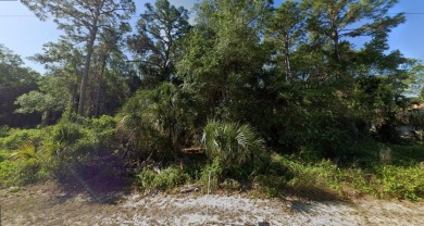 Build the life you've always dreamed of or invest in a bright on Bobcat Trail Golf Club in Florida - for sale on GolfHomes.com, golf home, golf lot