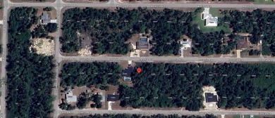Build the life you've always dreamed of or invest in a bright on Bobcat Trail Golf Club in Florida - for sale on GolfHomes.com, golf home, golf lot