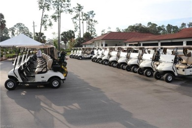 Whether you are looking for a winter escape or permanent home on Royal Wood Golf and Country Club in Florida - for sale on GolfHomes.com, golf home, golf lot