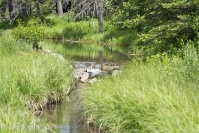 Introducing a rare gem that combines the perfect location with on Snake River Sporting Club in Wyoming - for sale on GolfHomes.com, golf home, golf lot