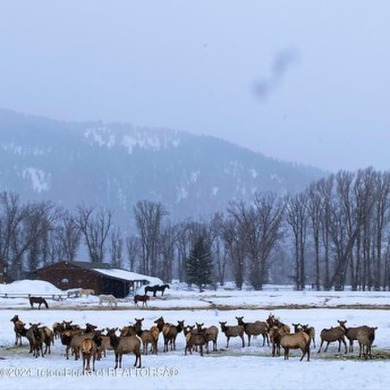 Introducing a rare gem that combines the perfect location with on Snake River Sporting Club in Wyoming - for sale on GolfHomes.com, golf home, golf lot