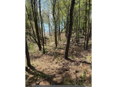 Lake Luxury, Discover your dream home w boat slip at Greers on Tannenbaum Golf Club in Arkansas - for sale on GolfHomes.com, golf home, golf lot