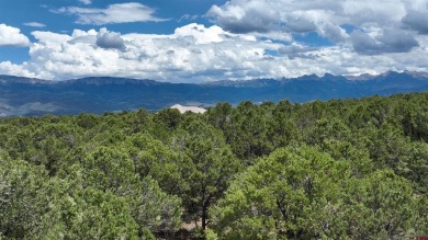 Chase K Girard, Ponderosa Real Estate The Source For Real Estate on The Divide Ranch and Club in Colorado - for sale on GolfHomes.com, golf home, golf lot