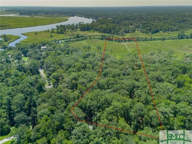 Welcome to an extraordinary opportunity to own a piece of on The Ford Field and River Club  in Georgia - for sale on GolfHomes.com, golf home, golf lot