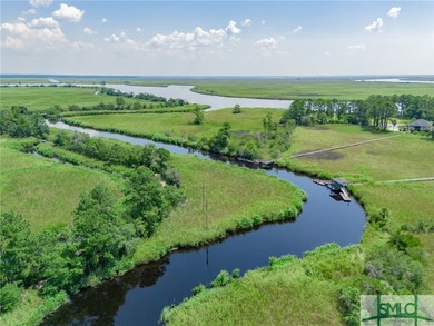 Welcome to an extraordinary opportunity to own a piece of on The Ford Field and River Club  in Georgia - for sale on GolfHomes.com, golf home, golf lot