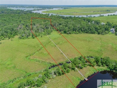 Welcome to an extraordinary opportunity to own a piece of on The Ford Field and River Club  in Georgia - for sale on GolfHomes.com, golf home, golf lot