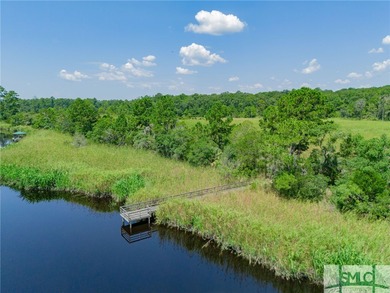 Welcome to an extraordinary opportunity to own a piece of on The Ford Field and River Club  in Georgia - for sale on GolfHomes.com, golf home, golf lot