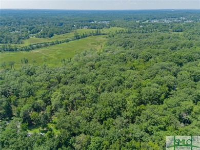 Welcome to an extraordinary opportunity to own a piece of on The Ford Field and River Club  in Georgia - for sale on GolfHomes.com, golf home, golf lot