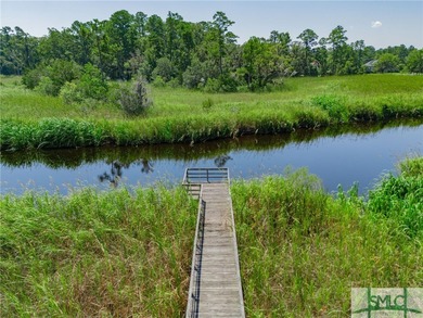 Welcome to an extraordinary opportunity to own a piece of on The Ford Field and River Club  in Georgia - for sale on GolfHomes.com, golf home, golf lot