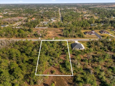 Discover the allure of this exceptional 1.24-acre wooded lot on Wedgefield Golf Club in Florida - for sale on GolfHomes.com, golf home, golf lot