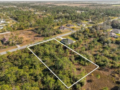 Discover the allure of this exceptional 1.24-acre wooded lot on Wedgefield Golf Club in Florida - for sale on GolfHomes.com, golf home, golf lot