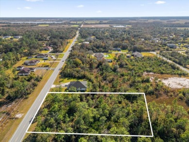 Discover the allure of this exceptional 1.24-acre wooded lot on Wedgefield Golf Club in Florida - for sale on GolfHomes.com, golf home, golf lot