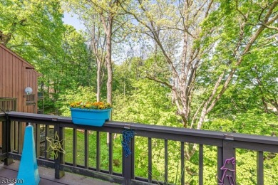 Must See!! Do not miss this FULLY FURNISHED, private, slope side on Minerals Golf Club in New Jersey - for sale on GolfHomes.com, golf home, golf lot