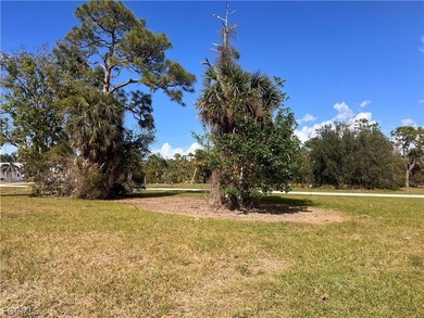Bring your builder and start designing your dream home in the on Burnt Store Golf Club in Florida - for sale on GolfHomes.com, golf home, golf lot
