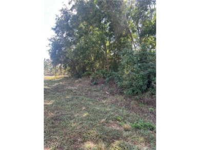 Duplex lot on a corner. Across the street from Westminster Golf on Westminster Golf Club in Florida - for sale on GolfHomes.com, golf home, golf lot