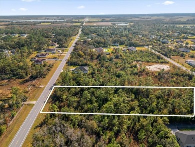 Experience the allure of this exceptional 1.03-acre wooded lot on Wedgefield Golf Club in Florida - for sale on GolfHomes.com, golf home, golf lot