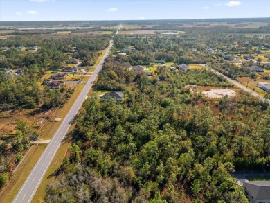 Experience the allure of this exceptional 1.03-acre wooded lot on Wedgefield Golf Club in Florida - for sale on GolfHomes.com, golf home, golf lot