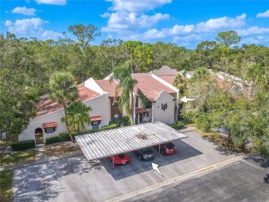 Welcome to your dream oasis in the desirable East Lake Corridor! on Tarpon Woods Golf Club in Florida - for sale on GolfHomes.com, golf home, golf lot