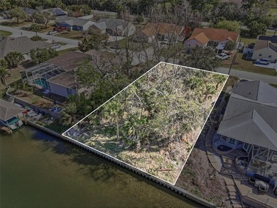 Start with the water. Build the rest.

This 80 by 125 foot on Palm Harbor Golf Club in Florida - for sale on GolfHomes.com, golf home, golf lot