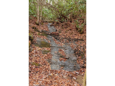 9+ acres of privacy within the gates of Chinquapin! Currently on Natures Walk At Chinquapin in North Carolina - for sale on GolfHomes.com, golf home, golf lot