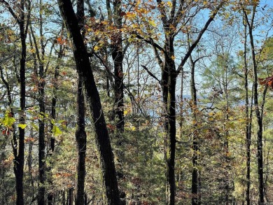 Welcome to your own slice of paradise in beautiful Fairfield Bay on Indian Hills Country Club in Arkansas - for sale on GolfHomes.com, golf home, golf lot