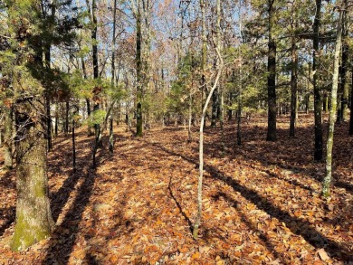 Welcome to your own slice of paradise in beautiful Fairfield Bay on Indian Hills Country Club in Arkansas - for sale on GolfHomes.com, golf home, golf lot