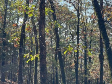 Welcome to your own slice of paradise in beautiful Fairfield Bay on Indian Hills Country Club in Arkansas - for sale on GolfHomes.com, golf home, golf lot